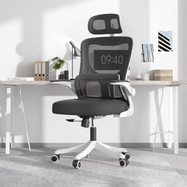 Ergonomic Chair