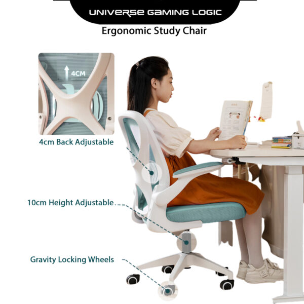 Kenapa Anda Perlu Melabur dalam Kerusi Ergonomik untuk Pejabat Anda - UGL ERGONOMIC STUDY CHAIR