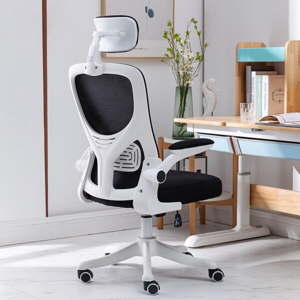 Kenapa Anda Perlu Melabur dalam Kerusi Ergonomik untuk Pejabat Anda - HAP| Ergonomic office chair